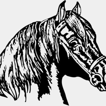 HORSE002 Thumbnail