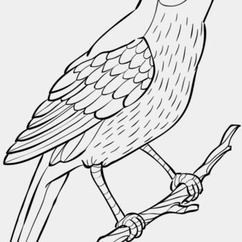 Nightingale   Clipart 2 Thumbnail